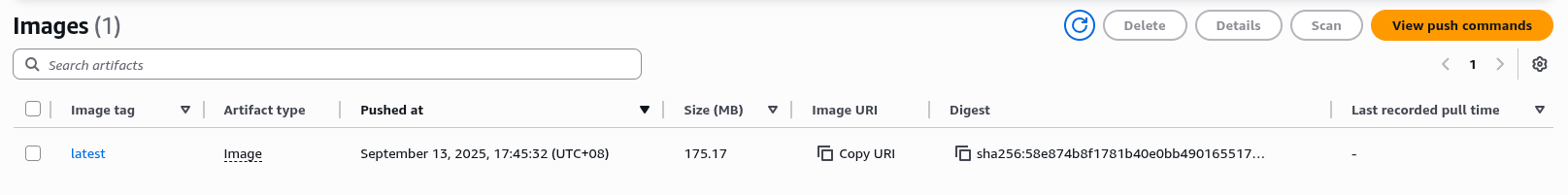 Push image to ECR repository